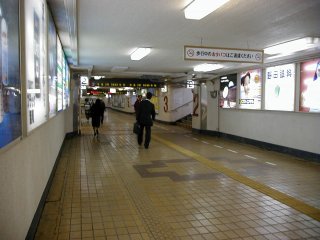 �啪�w�̒n�����ł�