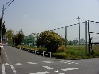 iqOhł