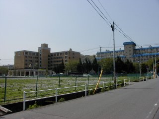 {݂̌ł
